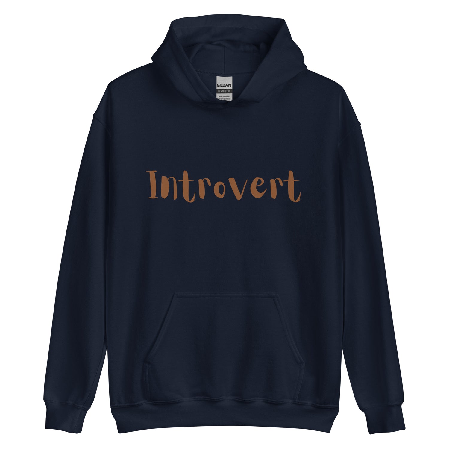 Introvert Hoodie