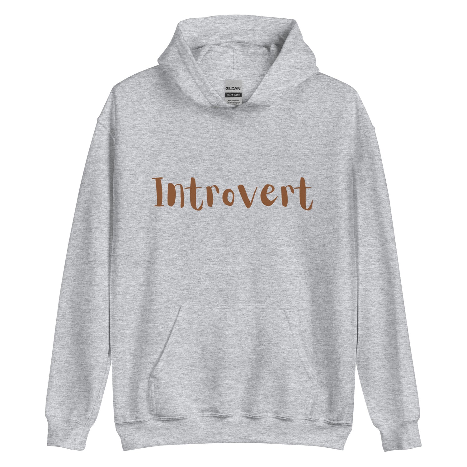 Introvert Hoodie