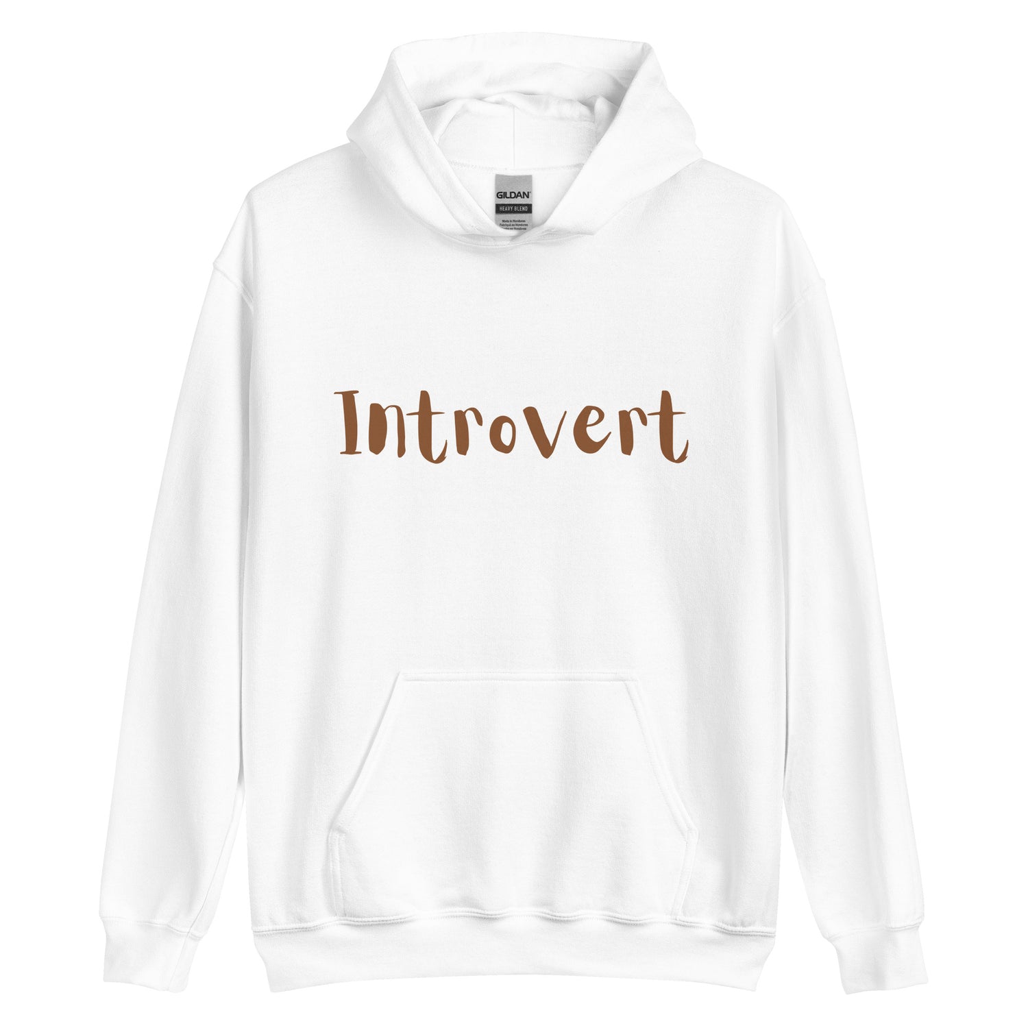 Introvert Hoodie